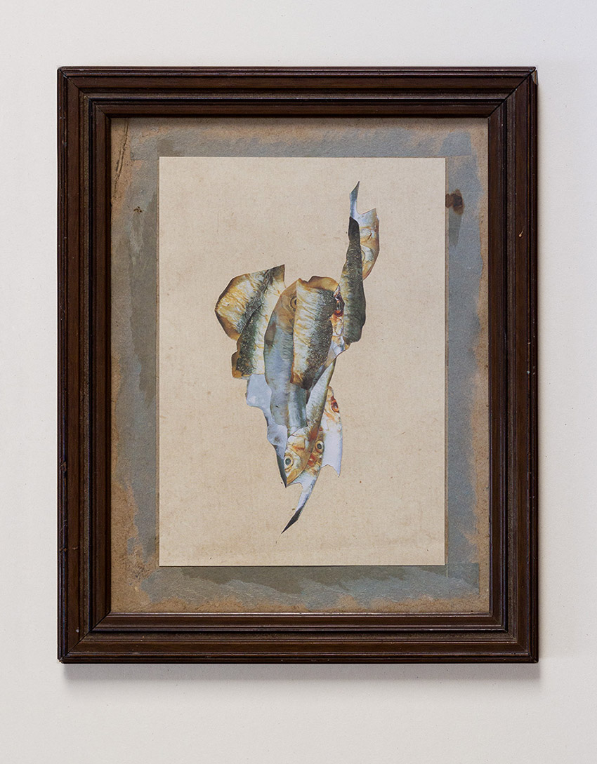 Gebratene Fische - abstrakte und moderne Collage Kunst von Markus Wülbern